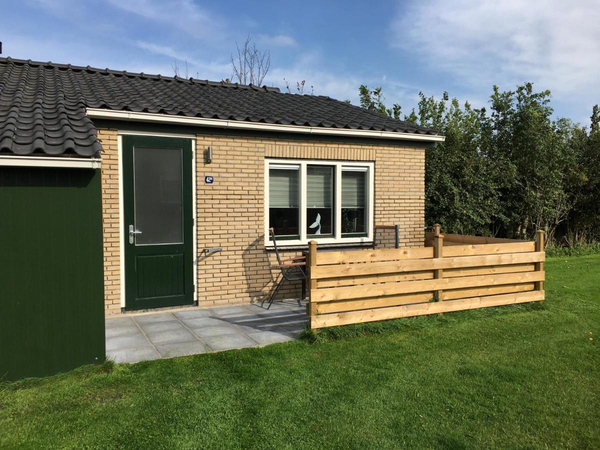 Bungalow Op Bedrijf Met Melkkoeien De Cocksdorp  Exterior foto